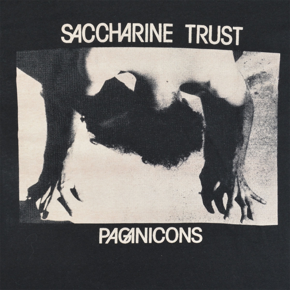 Saccharine Trust Paganicons Rarest